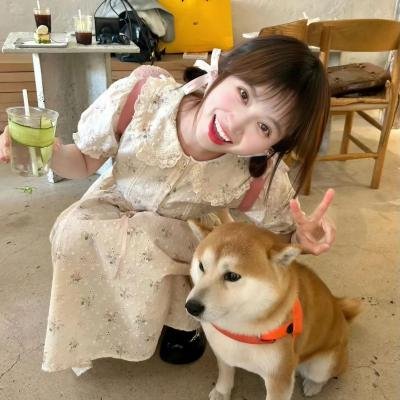 爱情四边形